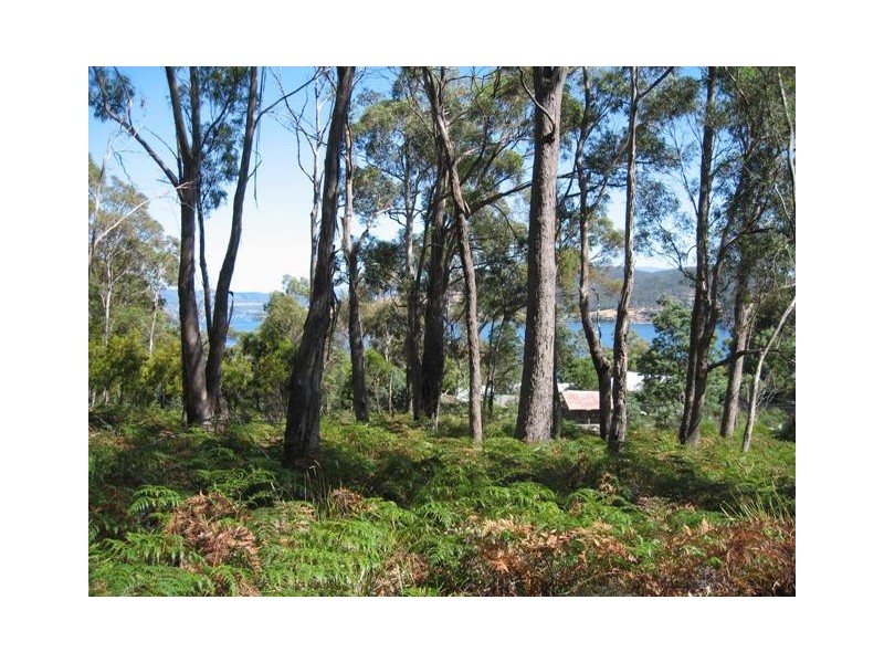 37 Cox Drive, Dennes Point, Bruny Island TAS 7150