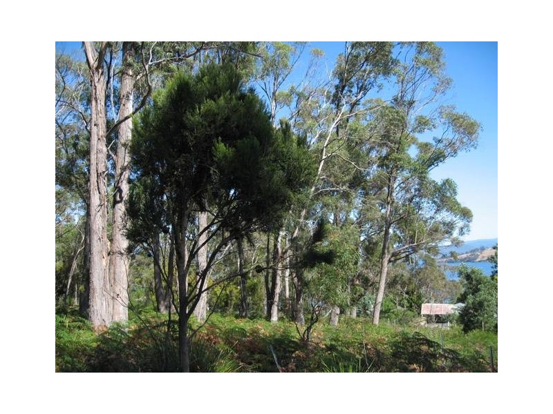 37 Cox Drive, Dennes Point, Bruny Island TAS 7150