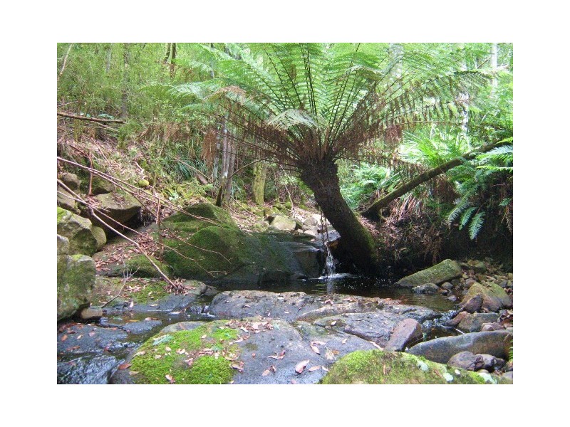 175 Old Bernies Road, Margate TAS 7054