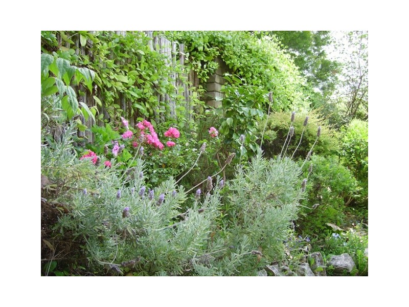 28 Tabors Road, Margate TAS 7054