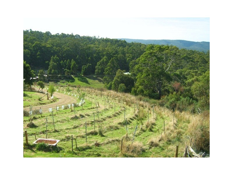 131 Cades Drive, Kingston TAS 7050