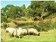 131 Cades Drive, Kingston TAS 7050