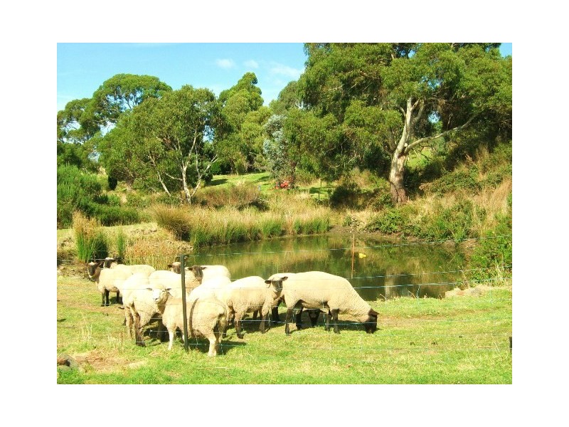 131 Cades Drive, Kingston TAS 7050