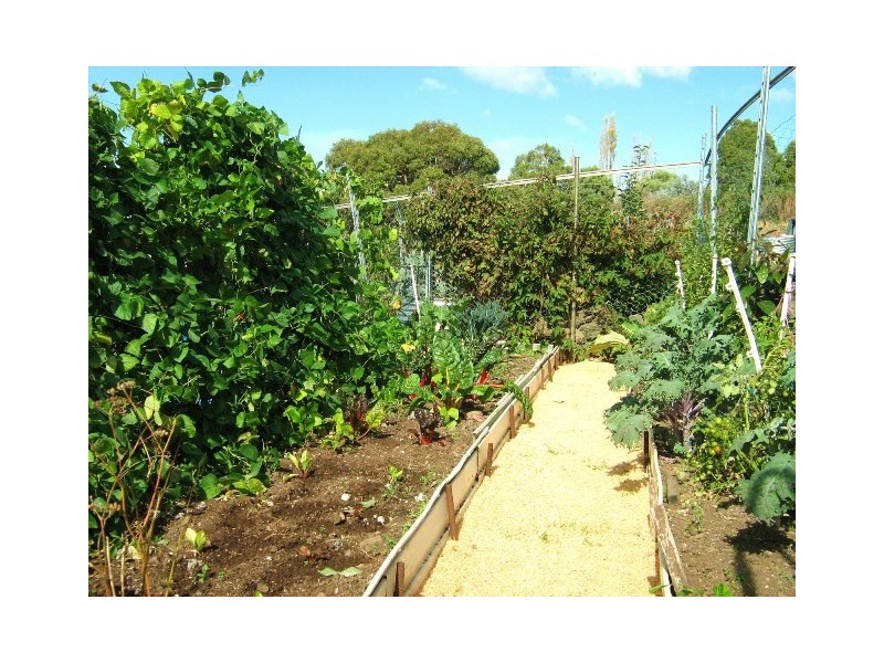 131 Cades Drive, Kingston TAS 7050