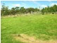 131 Cades Drive, Kingston TAS 7050