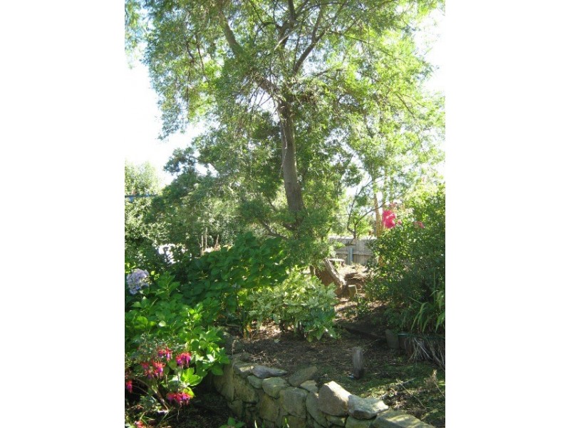 2/104 Willowbend Road, Kingston TAS 7050