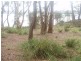 1884 Main Road, Bruny Island TAS 7150