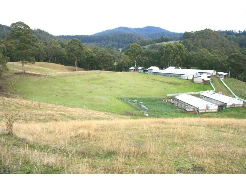 20 Reachfar Road, Sandfly TAS 7150