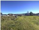 45 Sorell Street, Chudleigh TAS 7304