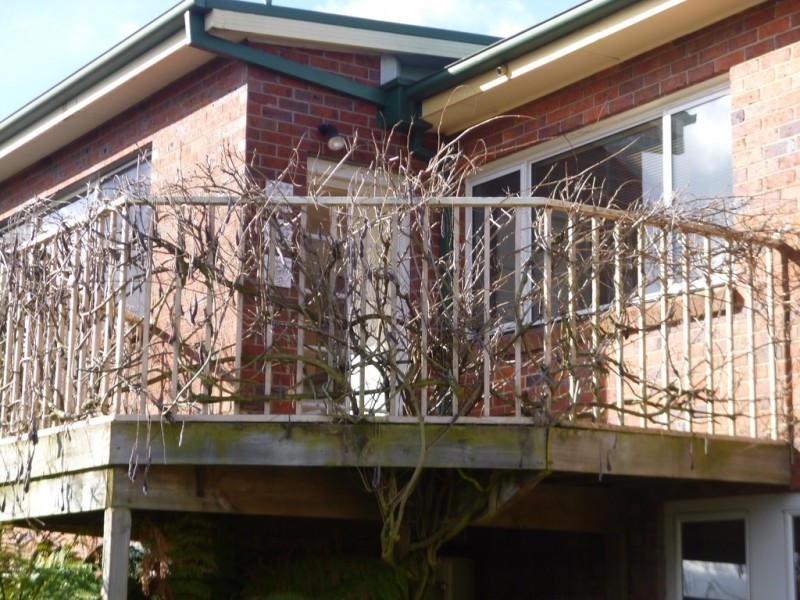 26 Merivale Street, South Launceston TAS 7249