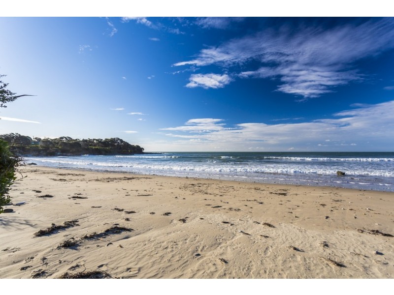 17 Davies Street, Weymouth TAS 7252