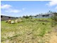 12 Classic Drive, Prospect TAS 7250