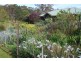 10 Keith Avenue, Travellers Rest TAS 7250