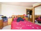 28 Bronzewing Avenue, Newnham TAS 7248