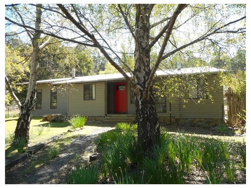 234 Farrells Road, Reedy Marsh TAS 7304