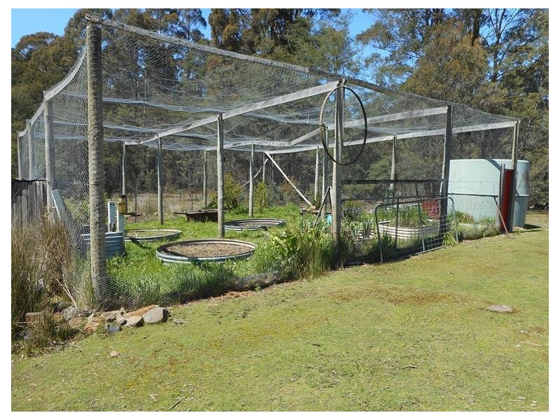 234 Farrells Road, Reedy Marsh TAS 7304