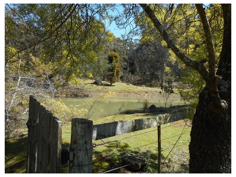 234 Farrells Road, Reedy Marsh TAS 7304