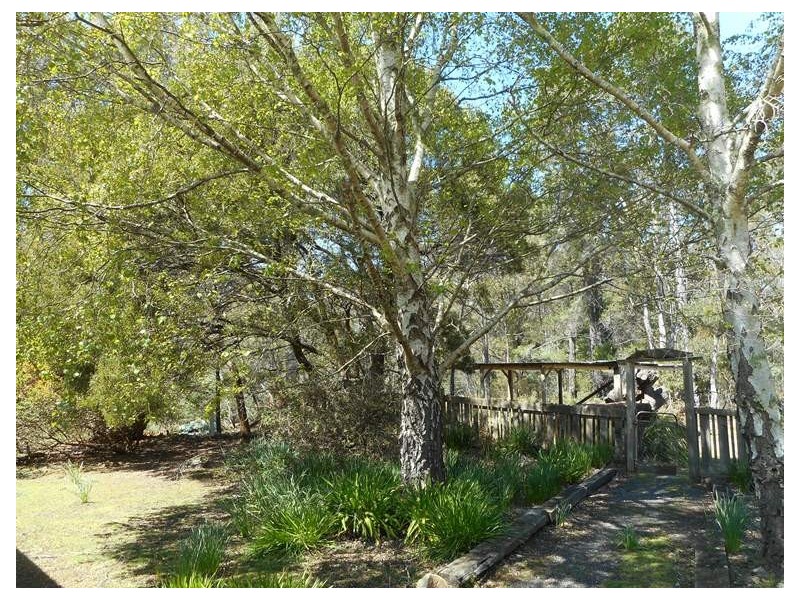 234 Farrells Road, Reedy Marsh TAS 7304