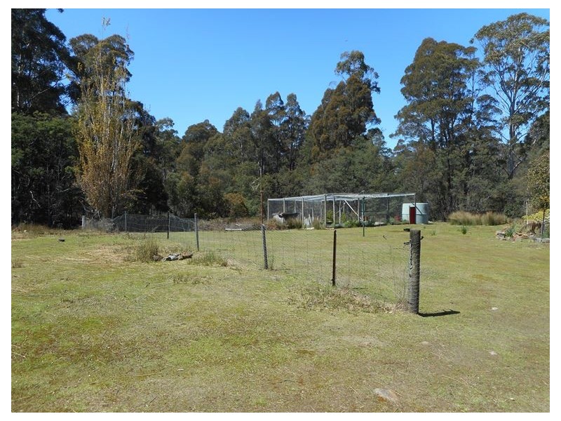 234 Farrells Road, Reedy Marsh TAS 7304
