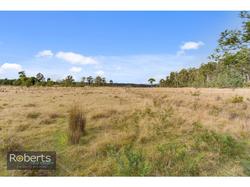 290 Wadleys Road, Reedy Marsh TAS 7304