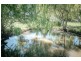 3914 Meander Valley Road, Exton TAS 7303