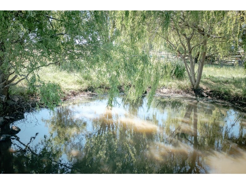 3914 Meander Valley Road, Exton TAS 7303
