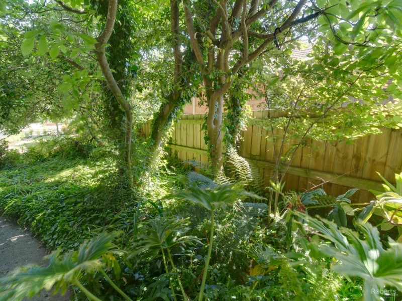 17 Atlas Street, Newstead TAS 7250