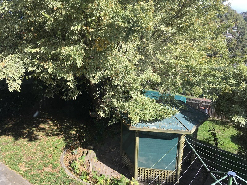 40 Merivale Street, South Launceston TAS 7249