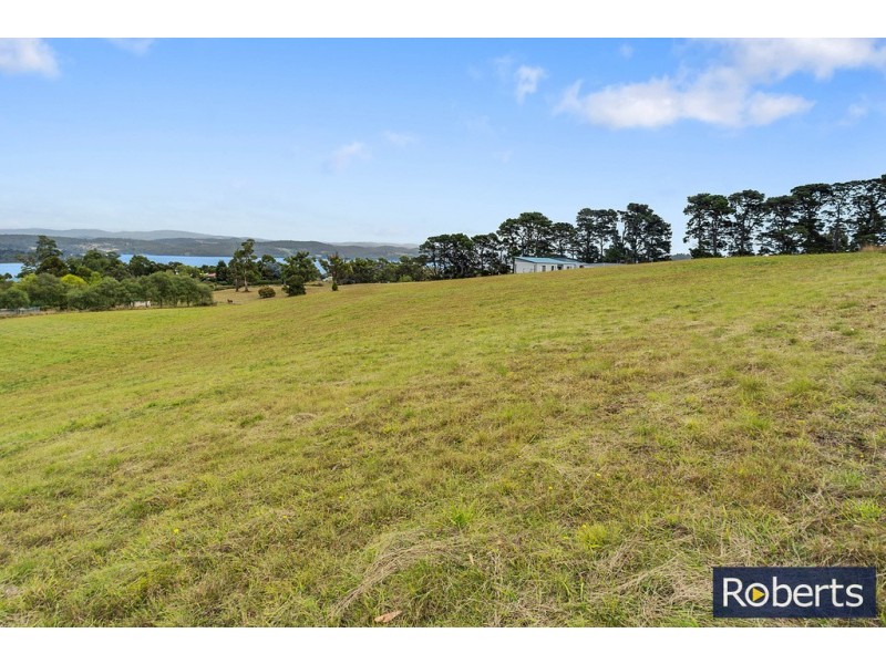 45 Burton Street, Hillwood TAS 7252