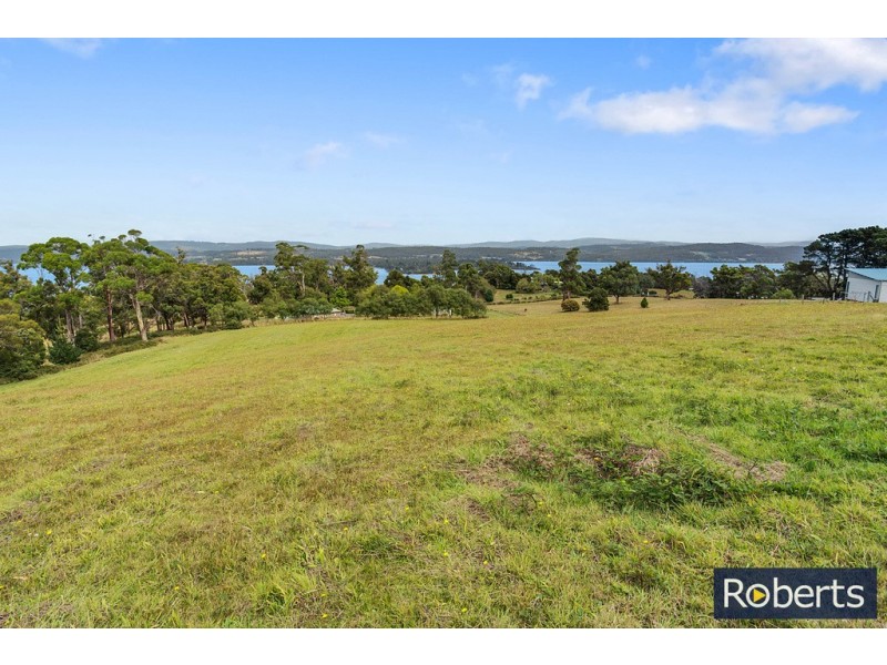 45 Burton Street, Hillwood TAS 7252
