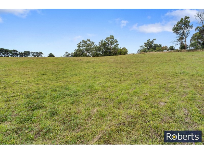 45 Burton Street, Hillwood TAS 7252