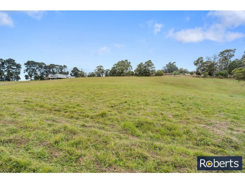 45 Burton Street, Hillwood TAS 7252