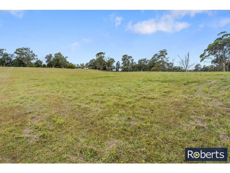 45 Burton Street, Hillwood TAS 7252