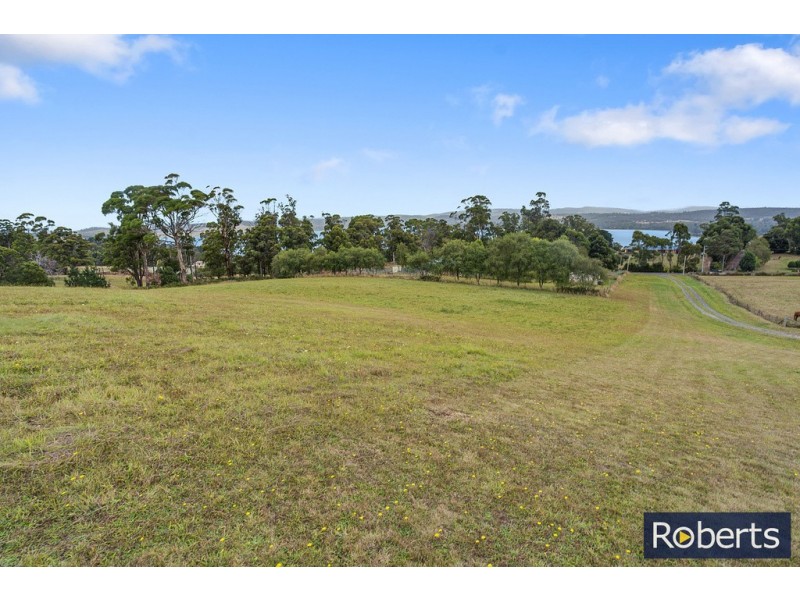 45 Burton Street, Hillwood TAS 7252