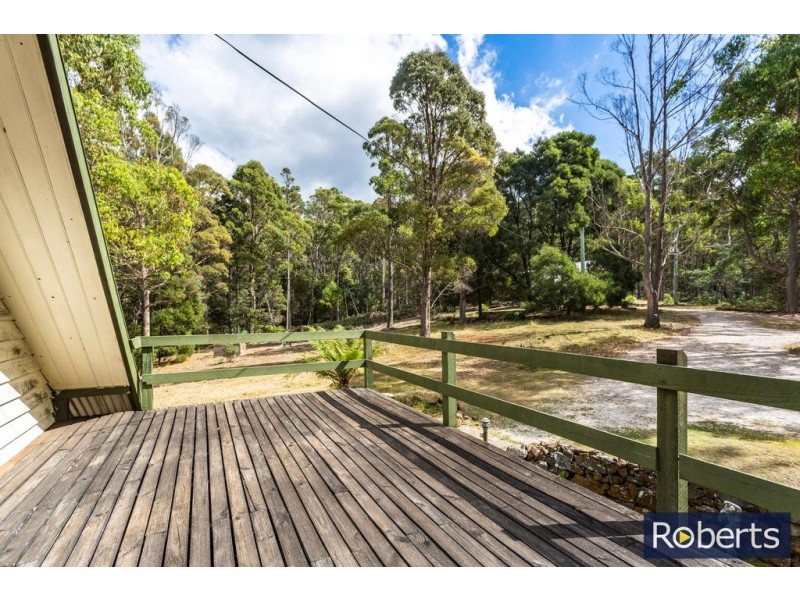 505 Larcombes Rd, Reedy Marsh TAS 7304