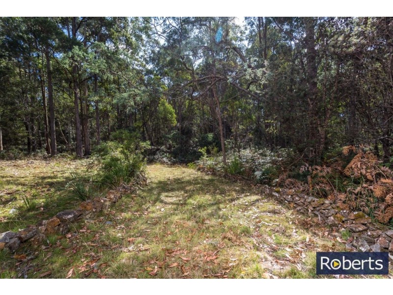 505 Larcombes Rd, Reedy Marsh TAS 7304