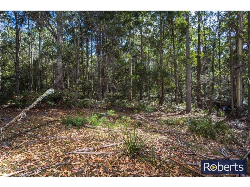505 Larcombes Rd, Reedy Marsh TAS 7304