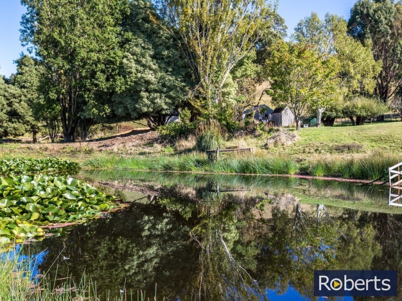 52 Motton Lane, Chudleigh TAS 7304