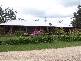 155 Motor Road, Deviot TAS 7275