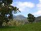 . . Liena Road, Mole Creek TAS 7304