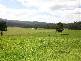 . . Liena Road, Mole Creek TAS 7304
