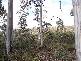 . . Lake Leake Road, Lake Leake TAS 7210