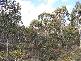 . . Lake Leake Road, Lake Leake TAS 7210