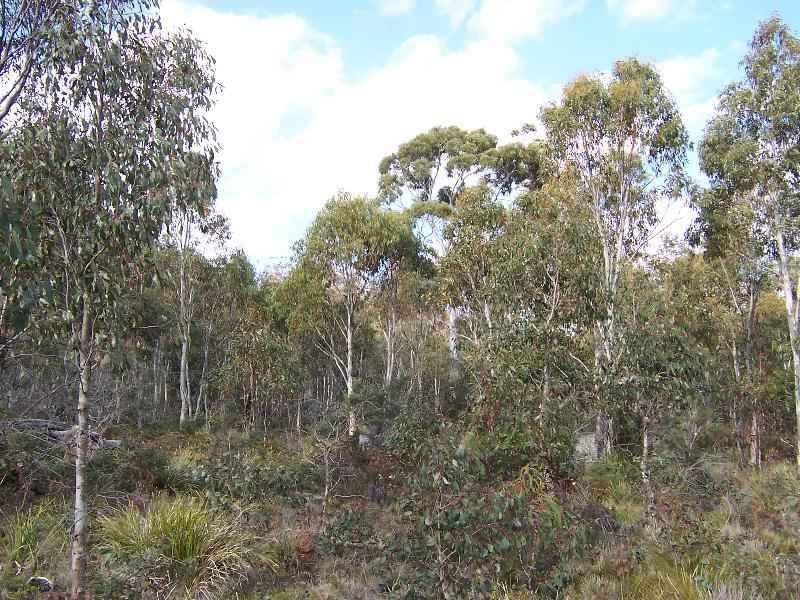 . . Lake Leake Road, Lake Leake TAS 7210