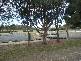 460 Cluan Road, Cluan TAS 7303