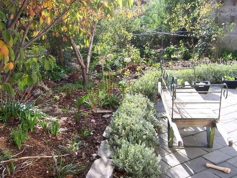 4 Elizabeth Street, Launceston TAS 7250