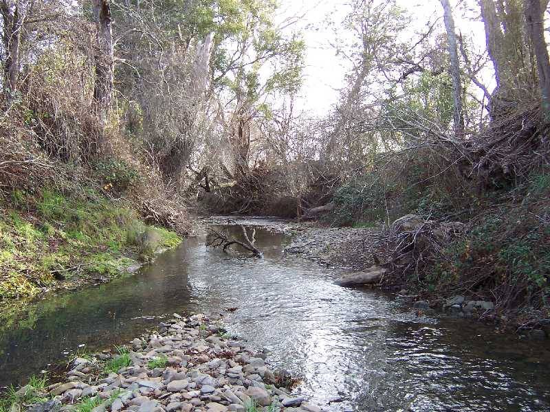 73 Pedder Street, Fingal TAS 7214