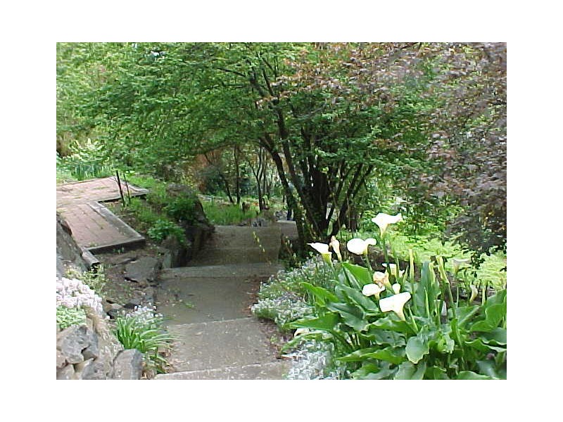 79 West Tamar Road, Trevallyn TAS 7250