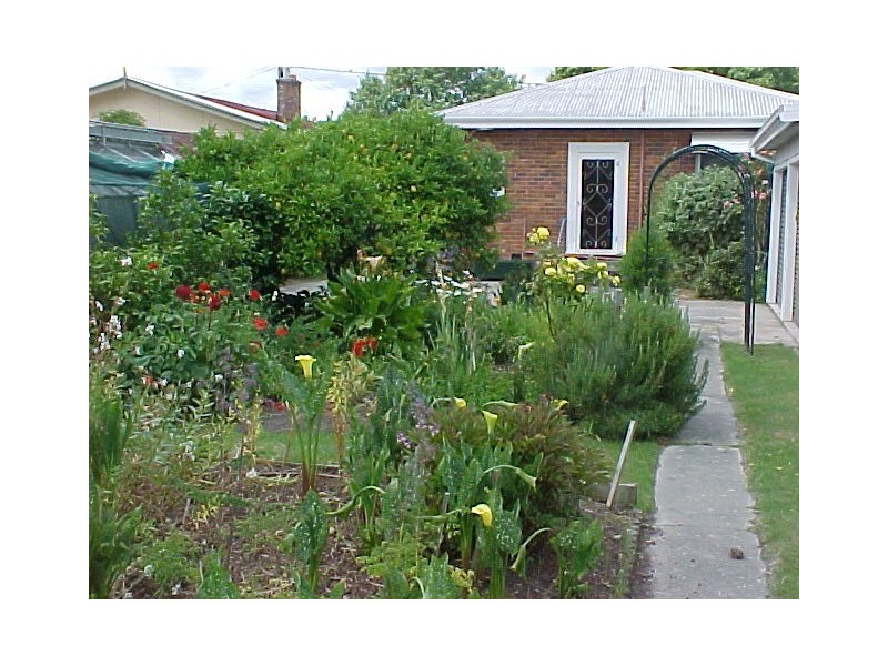 17 Birdwood Street, Mowbray TAS 7248