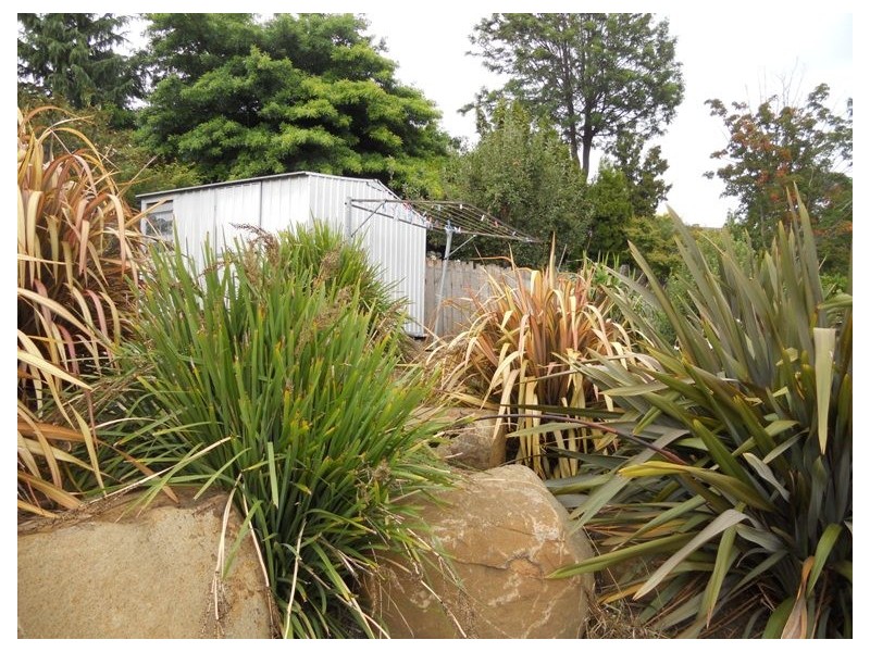 141 West Tamar Road, Riverside TAS 7250